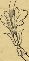 Picture 465 of 489 from The Decorator's assistant (1847), leaf 812