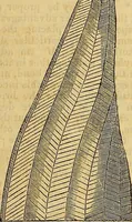Picture 46 of 489 from The Decorator's assistant (1847), leaf 88