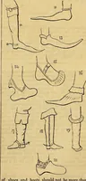 Picture 47 of 489 from The Decorator's assistant (1847), leaf 88