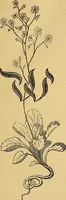 Picture 49 of 489 from The Decorator's assistant (1847), leaf 96