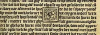 Picture 21 of 25 from De cosmographie va[n] Pe. Apianus. En[n] hoeme[n] de carten der lantscape[n] maect va[n] Ge[m]ma Phrysio bescreue[n], allen co[n]stigen en[n] subty len minsche[n] ter liefde[n] nu ierst in duytsche gesedt (1537), leaf 103