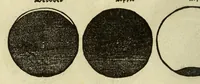 An illustration from De cosmographie va[n] Pe. Apianus. En[n] hoeme[n] de carten der lantscape[n] maect va[n] Ge[m]ma Phrysio bescreue[n], allen co[n]stigen en[n] subty len minsche[n] ter liefde[n] nu ierst in duytsche gesedt (1537)