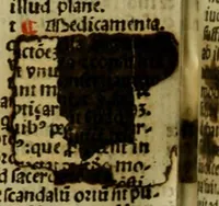 Picture 137 of 151 from Decretu[m] Gratiani : cu glossis dñi Joannis Theutonici prepositi Alberstatensis [et] annotationibus Bartholomei Brixiensis : [cum] diuisionibus Archidiaconi : [cum] Casibus a Bene., cõpositis per Bart. Brixi., correctis [et] pro clariore itellectu pluribus in locis extensis : [cum] concordia ad Bibliam : [cum] tabula marginalium glossularu[m] : [cum tabula] omniu canonu [et] concilio[rum] : [cum] Margarita Decreti : [cum] flosculis totius Decretia domio Joanne diacono compositis : [cum] additione in margine litteraru[m], quo minusculi characteres lineis intercepti, citius legenti appareant (1514), leaf 1173