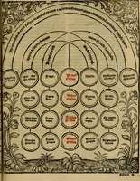 An illustration from Decretu[m] Gratiani : cu glossis dñi Joannis Theutonici prepositi Alberstatensis [et] annotationibus Bartholomei Brixiensis : [cum] diuisionibus Archidiaconi : [cum] Casibus a Bene., cõpositis per Bart. Brixi., correctis [et] pro clariore itellectu pluribus in locis extensis : [cum] concordia ad Bibliam : [cum] tabula marginalium glossularu[m] : [cum tabula] omniu canonu [et] concilio[rum] : [cum] Margarita Decreti : [cum] flosculis totius Decretia domio Joanne diacono compositis : [cum] additione in margine litteraru[m], quo minusculi characteres lineis intercepti, citius legenti appareant (1514)