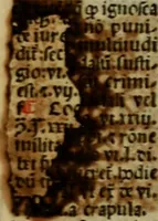Picture 7 of 151 from Decretu[m] Gratiani : cu glossis dñi Joannis Theutonici prepositi Alberstatensis [et] annotationibus Bartholomei Brixiensis : [cum] diuisionibus Archidiaconi : [cum] Casibus a Bene., cõpositis per Bart. Brixi., correctis [et] pro clariore itellectu pluribus in locis extensis : [cum] concordia ad Bibliam : [cum] tabula marginalium glossularu[m] : [cum tabula] omniu canonu [et] concilio[rum] : [cum] Margarita Decreti : [cum] flosculis totius Decretia domio Joanne diacono compositis : [cum] additione in margine litteraru[m], quo minusculi characteres lineis intercepti, citius legenti appareant (1514), leaf 88