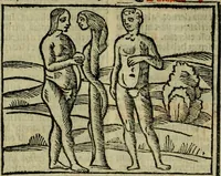 An illustration from Decretu[m] Gratiani : cu glossis dñi Joannis Theutonici prepositi Alberstatensis [et] annotationibus Bartholomei Brixiensis : [cum] diuisionibus Archidiaconi : [cum] Casibus a Bene., cõpositis per Bart. Brixi., correctis [et] pro clariore itellectu pluribus in locis extensis : [cum] concordia ad Bibliam : [cum] tabula marginalium glossularu[m] : [cum tabula] omniu canonu [et] concilio[rum] : [cum] Margarita Decreti : [cum] flosculis totius Decretia domio Joanne diacono compositis : [cum] additione in margine litteraru[m], quo minusculi characteres lineis intercepti, citius legenti appareant (1514)