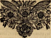 An illustration from De cultu divino ... secunda lege ... liber VIII : ex hebraeo latinum fecit ... Ludovicus de Compiegne de Veli (1678)