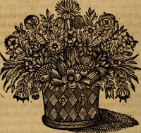 An illustration from De cultu divino ... secunda lege ... liber VIII : ex hebraeo latinum fecit ... Ludovicus de Compiegne de Veli (1678)