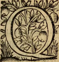 An illustration from De cultu divino ... secunda lege ... liber VIII : ex hebraeo latinum fecit ... Ludovicus de Compiegne de Veli (1678)