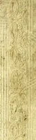 Picture 1 of 47 from De dissectione partium corporis humani libri tres (1545), leaf 1