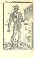 Picture 13 of 47 from De dissectione partium corporis humani libri tres (1545), leaf 164