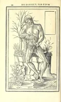 Picture 18 of 47 from De dissectione partium corporis humani libri tres (1545), leaf 222