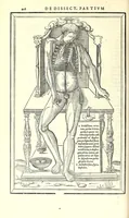 Picture 20 of 47 from De dissectione partium corporis humani libri tres (1545), leaf 240