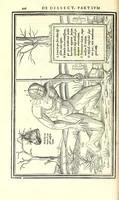 Picture 27 of 47 from De dissectione partium corporis humani libri tres (1545), leaf 268