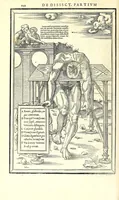 Picture 31 of 47 from De dissectione partium corporis humani libri tres (1545), leaf 274