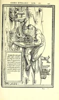 Picture 33 of 47 from De dissectione partium corporis humani libri tres (1545), leaf 285