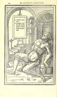 Picture 34 of 47 from De dissectione partium corporis humani libri tres (1545), leaf 292