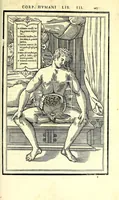 Picture 35 of 47 from De dissectione partium corporis humani libri tres (1545), leaf 299