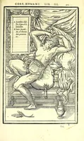 Picture 37 of 47 from De dissectione partium corporis humani libri tres (1545), leaf 303