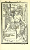 Picture 38 of 47 from De dissectione partium corporis humani libri tres (1545), leaf 307
