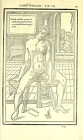 Picture 42 of 47 from De dissectione partium corporis humani libri tres (1545), leaf 319