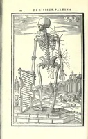 Picture 7 of 47 from De dissectione partium corporis humani libri tres (1545), leaf 72