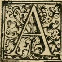 An illustration from De' dittici degli antichi profani, e sacri libri III : coll' appendice d'alcuni necrologj, e calendarj finora non pubblicati (1753)