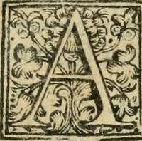 An illustration from De' dittici degli antichi profani, e sacri libri III : coll' appendice d'alcuni necrologj, e calendarj finora non pubblicati (1753)