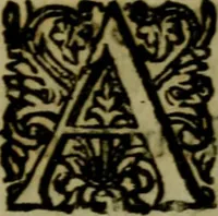 An illustration from De diua virgine Copacauana in Peruano Noui Mundi regno celeberrima liber vnus : quo eius origo & miracula compendio descripta (1656)