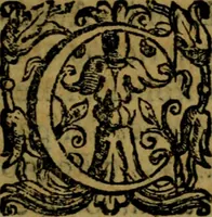 An illustration from De diua virgine Copacauana in Peruano Noui Mundi regno celeberrima liber vnus : quo eius origo & miracula compendio descripta (1656)