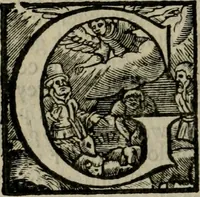 An illustration from De drie boecken der medicijnsche aenmerkingen : in 't Latijn beschreven (1650)