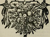 An illustration from De drie boecken der medicijnsche aenmerkingen : in 't Latijn beschreven (1650)