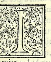 An illustration from De Etruriae regionis : quae prima in orbe Europaeo habitata est, originibus, institutis, religione & moribus, & imprimis de aurei saeculi doctrina et uit a praestantissima quae in diuinationis sacrae usu posita est (1551)