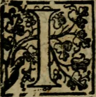 An illustration from De expvngendis haereticorvm propriis nominibus etiam de libris qui de religione ex professo nontractant. Adiecta est Iohan (1576)