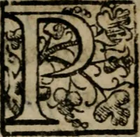 Picture 4 of 4 from De expvngendis haereticorvm propriis nominibus etiam de libris qui de religione ex professo nontractant. Adiecta est Iohan (1576), leaf 125