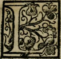 An illustration from De expvngendis haereticorvm propriis nominibus etiam de libris qui de religione ex professo nontractant. Adiecta est Iohan (1576)