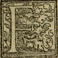 Picture 5 of 6 from De febribus commentarius (1555), leaf 158