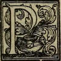 Picture 6 of 6 from De febribus commentarius (1555), leaf 176