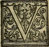 An illustration from De febribus commentarius (1555)