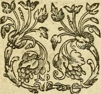 An illustration from A defence of church-government, exercised in presbyteriall, classicall, & synodall assemblies, according to the practise of the reformed churches : touching I. the power of a particular eldership against those that plead for a meere popular government, specially Mr Ainsvvorth in his Animadversion to Mr Clyft, &c. II. the authority of classes and synods, against the patrons of independencie, answering in this poynt Mr Davenport his Apologeticall reply, &c. and Mr Canne his Churches plea ... (1641)