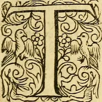 An illustration from A defence of church-government, exercised in presbyteriall, classicall, & synodall assemblies, according to the practise of the reformed churches : touching I. the power of a particular eldership against those that plead for a meere popular government, specially Mr Ainsvvorth in his Animadversion to Mr Clyft, &c. II. the authority of classes and synods, against the patrons of independencie, answering in this poynt Mr Davenport his Apologeticall reply, &c. and Mr Canne his Churches plea ... (1641)