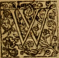 An illustration from A defence of infant-baptism in answer to two treatises, and an Appendix to them concerning it, lately published by Mr. Jo. Tombes : wherein that controversie is fully discussed ... (1646)