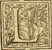 An illustration from A Defence of the Reformed Catholicke of M. W. Perkins, lately deceased, against the bastard Counter-Catholicke of D. Bishop, Seminary Priest (1611)