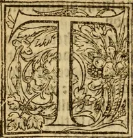 Picture 8 of 10 from A defence of the true and catholike doctrine of the sacrament of the body and bloud of our sauiour Christ : with a confutation of sundry errors concernyng the same, grounded and stablished upon Godes holy woorde & approved by ye consent of the moste auncient doctors of the churche (1550), leaf 193