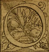 Picture 4 of 10 from A defence of the true and catholike doctrine of the sacrament of the body and bloud of our sauiour Christ : with a confutation of sundry errors concernyng the same, grounded and stablished upon Godes holy woorde & approved by ye consent of the moste auncient doctors of the churche (1550), leaf 8