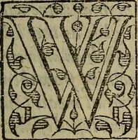 An illustration from A defensative against the plague : contayning two partes or treatises : the first, shewing the meanes how to preserue vs from the dangerous contagion thereof : the second, how to cure those that are infected therewith : whereunto is annexed a short treatise of the small poxe : shewing how to gouerne and helpe those that are infected therewith (1593)
