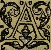 An illustration from A defensative against the plague : contayning two partes or treatises : the first, shewing the meanes how to preserue vs from the dangerous contagion thereof : the second, how to cure those that are infected therewith : whereunto is annexed a short treatise of the small poxe : shewing how to gouerne and helpe those that are infected therewith (1593)