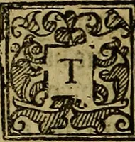 An illustration from A defensative against the plague : contayning two partes or treatises : the first, shewing the meanes how to preserue vs from the dangerous contagion thereof : the second, how to cure those that are infected therewith : whereunto is annexed a short treatise of the small poxe : shewing how to gouerne and helpe those that are infected therewith (1593)