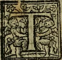 An illustration from A defensative against the plague : contayning two partes or treatises : the first, shewing the meanes how to preserue vs from the dangerous contagion thereof : the second, how to cure those that are infected therewith : whereunto is annexed a short treatise of the small poxe : shewing how to gouerne and helpe those that are infected therewith (1593)