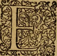 An illustration from De fideicommissis praesertim universalibus, tractatus frequentissimus, M. Antonii Peregrini ... : ab eodem ultima hac est post germanicam editionem, summa diligentia recognitus & compluribus additamentis recenter adauctus & illustratus (1668)